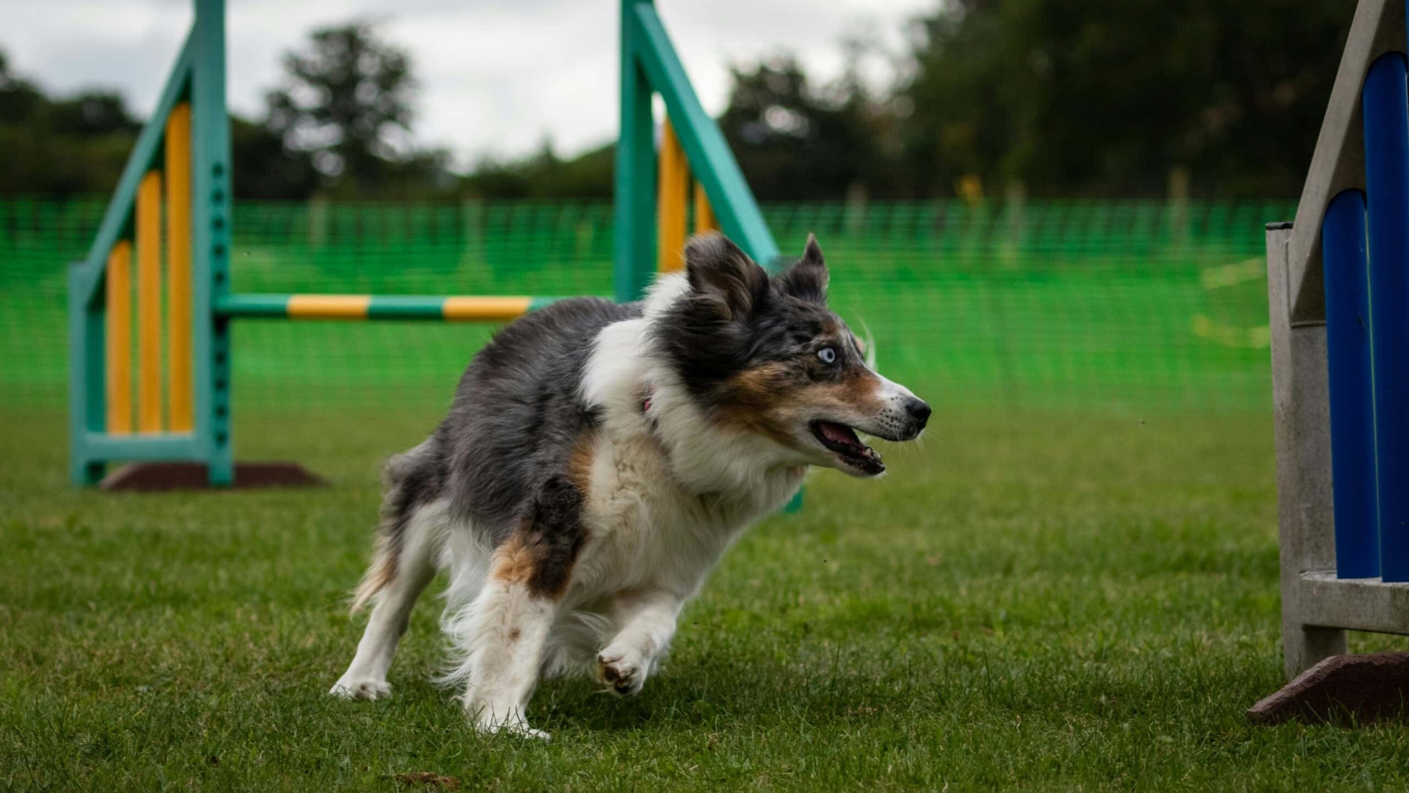 roger-chapman-yDtd-yjAXNA-unsplash