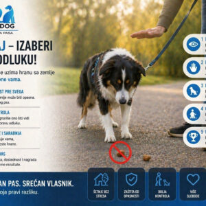 Kako naučiti psa da ne uzima hranu sa zemlje?