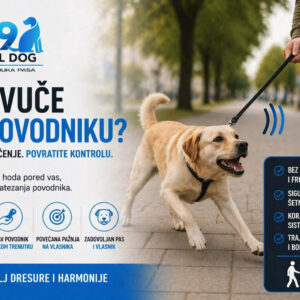 Kako rešiti problem kada pas vuče na povodniku, korak po korak...