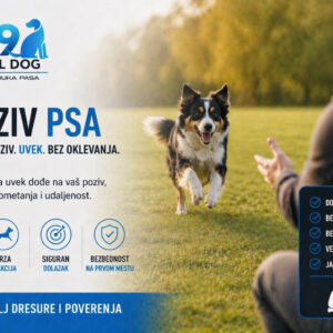 Kako pravilno naučiti psa komandu "Dođi"