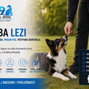 Kako pravilno naučiti psa komandu "Lezi"