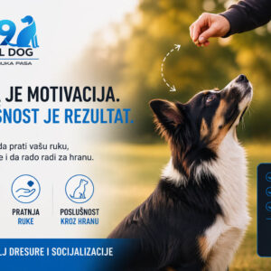 Kako pravilno koristiti hranu kao motivaciju?