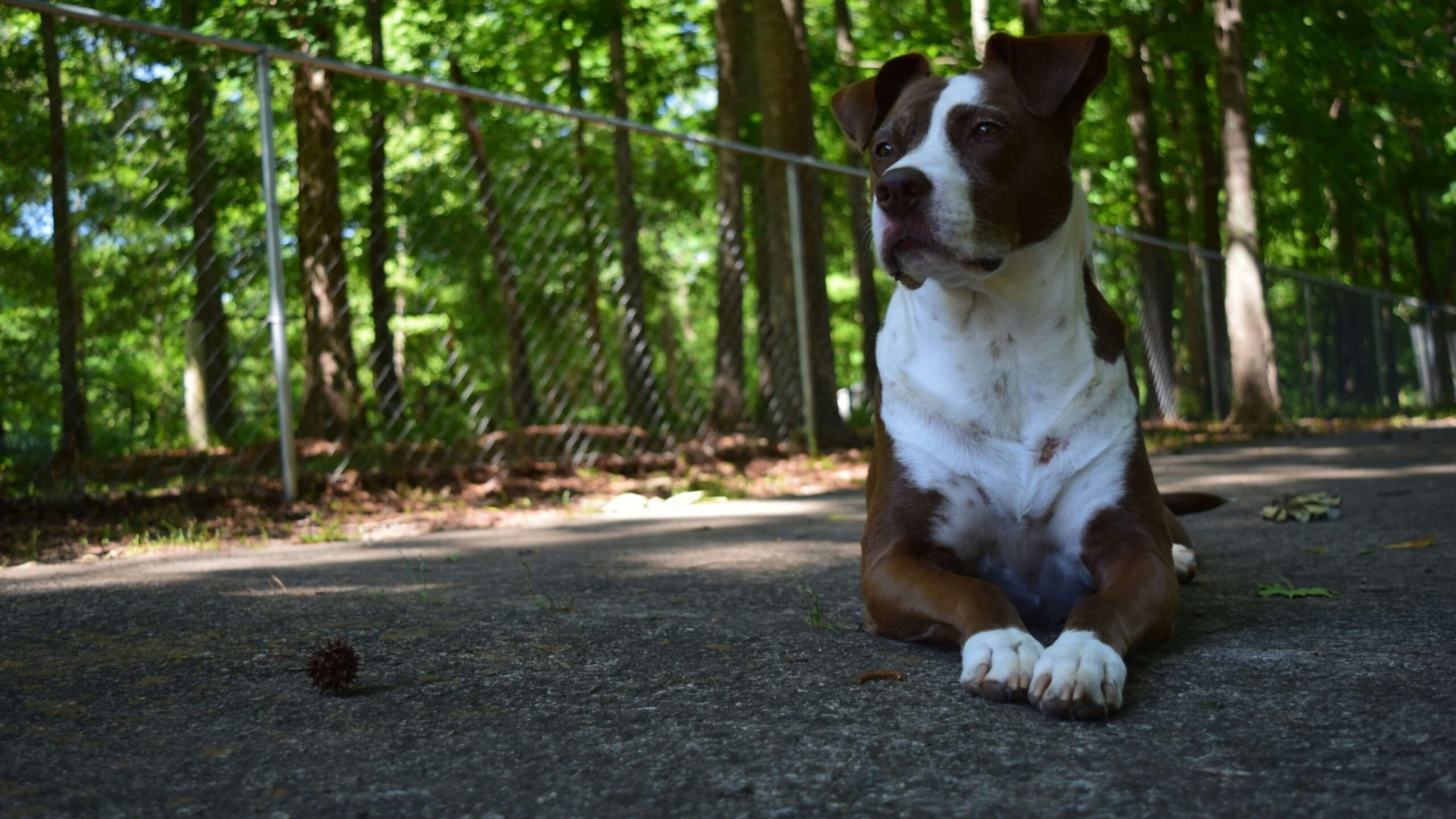 johnny-brewer-aCIB-G1wu58-unsplash (1)
