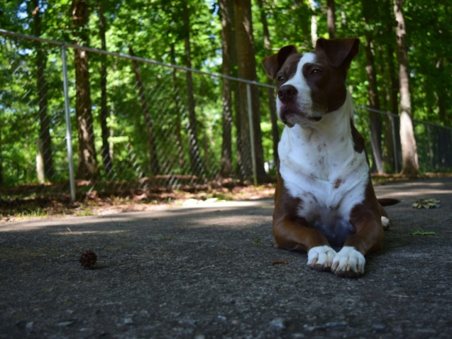 johnny-brewer-aCIB-G1wu58-unsplash (1)